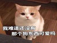 苏州稻丰商贸有限公司