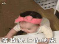 苏州稻丰商贸有限公司