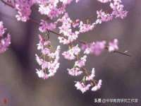 苏州稻丰商贸有限公司