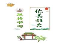 苏州稻丰商贸有限公司