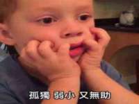 苏州稻丰商贸有限公司