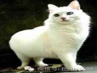 苏州稻丰商贸有限公司