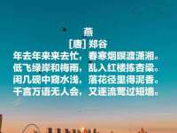 苏州稻丰商贸有限公司