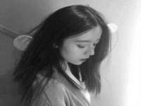 苏州稻丰商贸有限公司