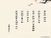 苏州稻丰商贸有限公司