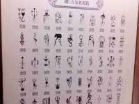 苏州稻丰商贸有限公司