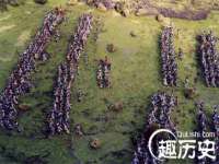 苏州稻丰商贸有限公司