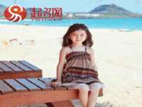 苏州稻丰商贸有限公司