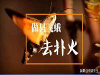 苏州稻丰商贸有限公司