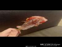 苏州稻丰商贸有限公司
