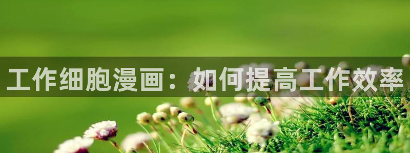 漫蛙ipa