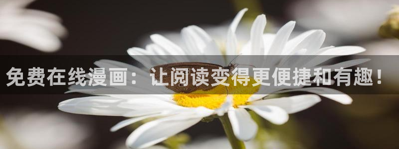 漫蛙2正版下载链接