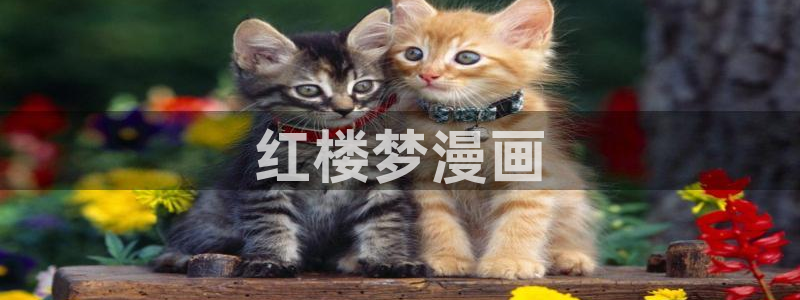 我天命大反派漫蛙漫画