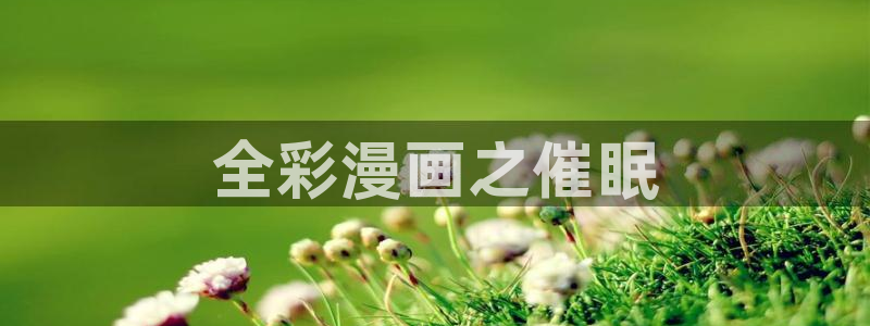 漫蛙漫画(网页入口)网版