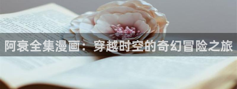 漫蛙官网入口是什么