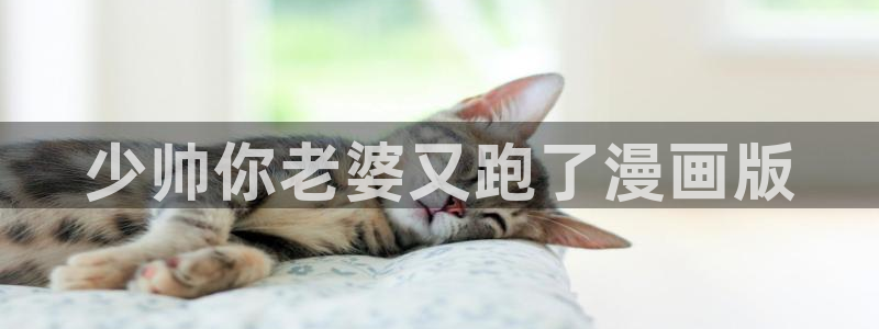 漫蛙漫画图片