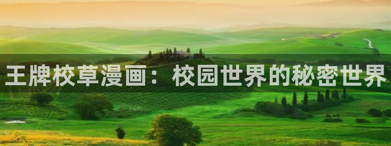 漫蛙app下载入口