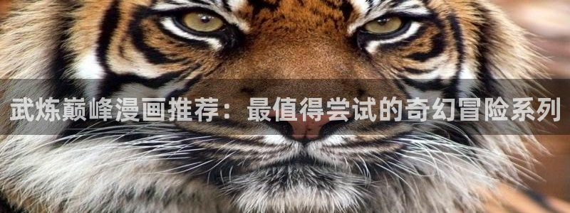 漫蛙漫画(网页)直接进入