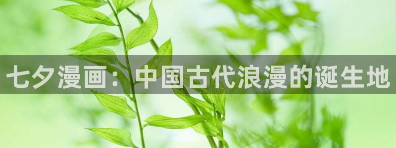 漫蛙1.1.8正版下载