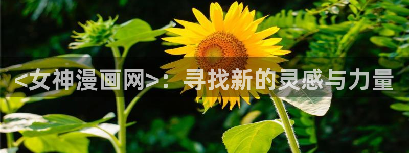 漫蛙漫画防止走失