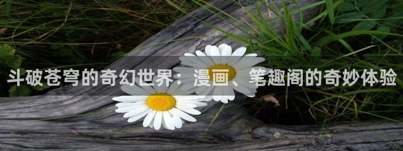 漫蛙6