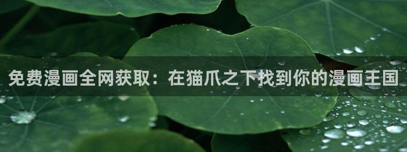 漫蛙2下载正版入口