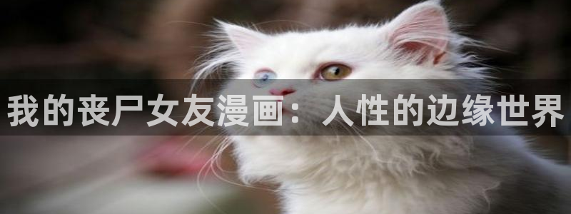 漫蛙网网址