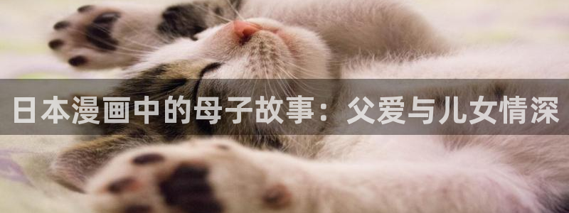 漫蛙登录