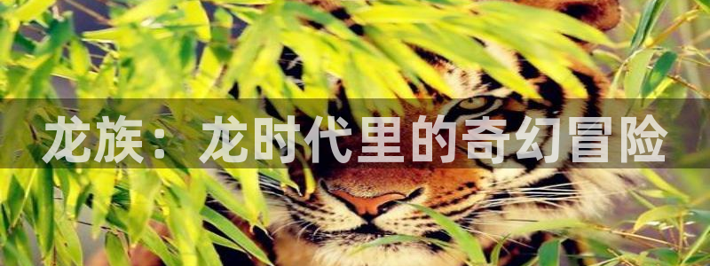 漫蛙manwa台版