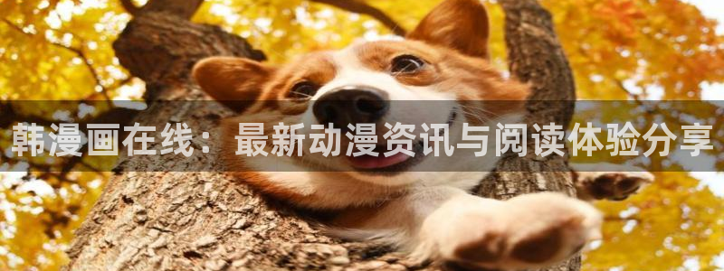 漫蛙2怎么用