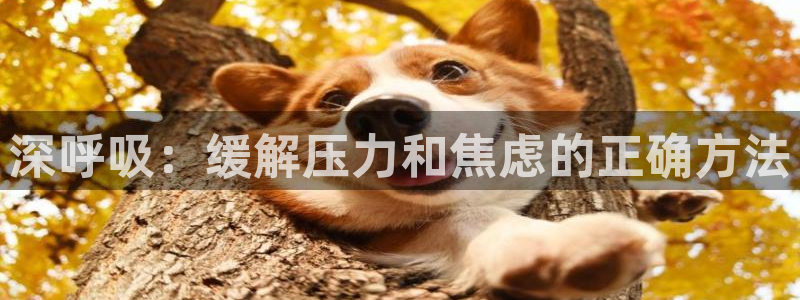 漫蛙漫画免费下载app