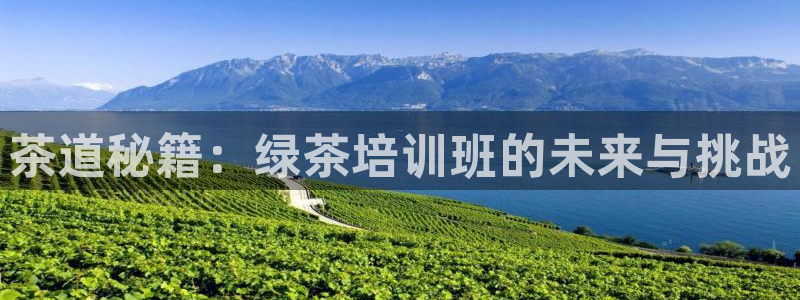 漫蛙苹果：茶道秘籍：绿茶培训班的未来与挑战